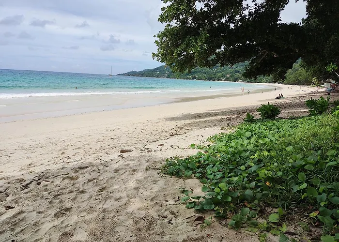Mount Simpson 2-beds Sleeps 4 5 Mins To Apartment *